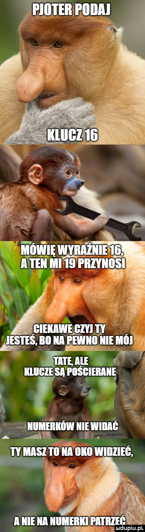 rrum ranni   hun. a   llilgle sa piisgieiiaiie t  mm llllﬂfeiiklwl icie wlllll msz w iii iikii wiiiiieg i ii iii llllﬂlllll haik w lud upiu. pl