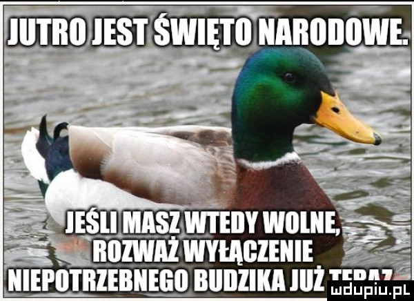 mszimnvwom nuzm zwmczimi iiiepii irieiiiielo biiiiiika iii i. iupl