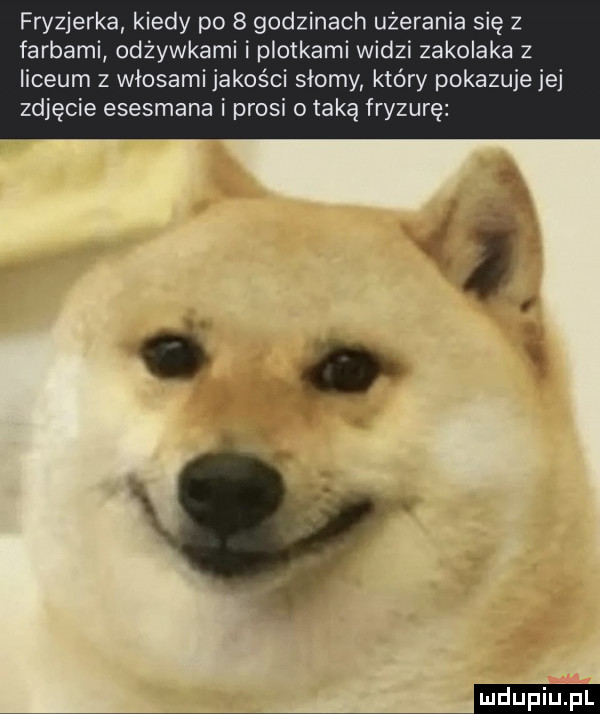 fryzjerka kiedy po   godzinach użerania się z farbami odżywkami i plotkami widzi zakolaka z liceum z włosami jakości słomy który pokazuje jej zdjęcie esesmana i prosi o taką fryzurę