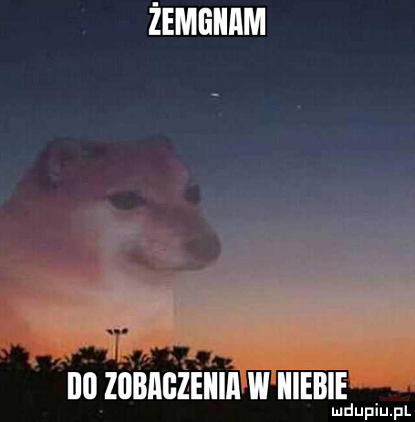 żemgiiam ibl zobaczenia w niebie