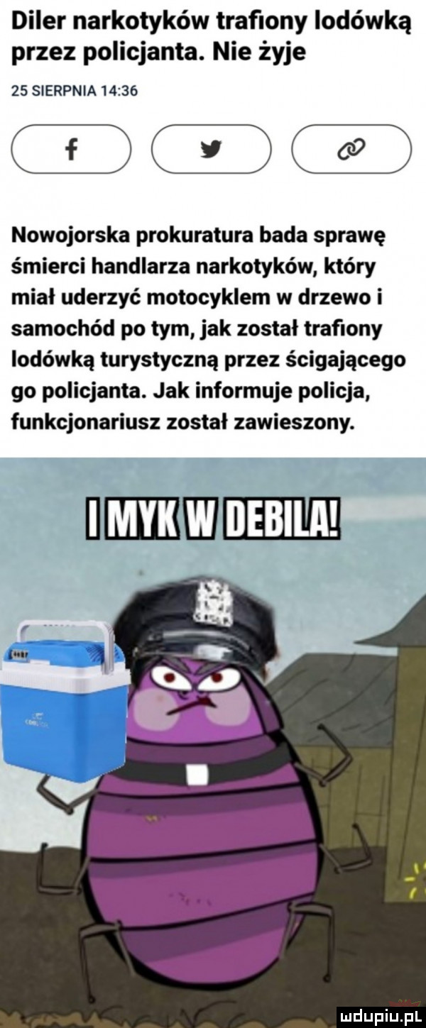 diler narkotyków trafiony lodówką przez policjanta. nie żyje f nowojorska prokuratura bada sprawę śmierci handlarza narkotyków który miał uderzyć motocyklem w drzewo i samochód po tym jak został trafiony lodówką turystyczną przez ścigającego go policjanta. jak informuje policja funkcjonariusz został zawieszony. bmw i
