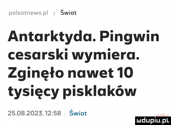 świat antarktyda. pingwin cesarski wymiera. zginęło nawet    tysięcy pisklaków                  świat ludu iu. l