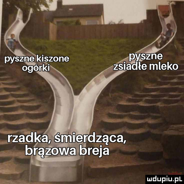 pysie fs e fife mleko tzadka śmierdząca brązowa breja. elz ą mduplu pl
