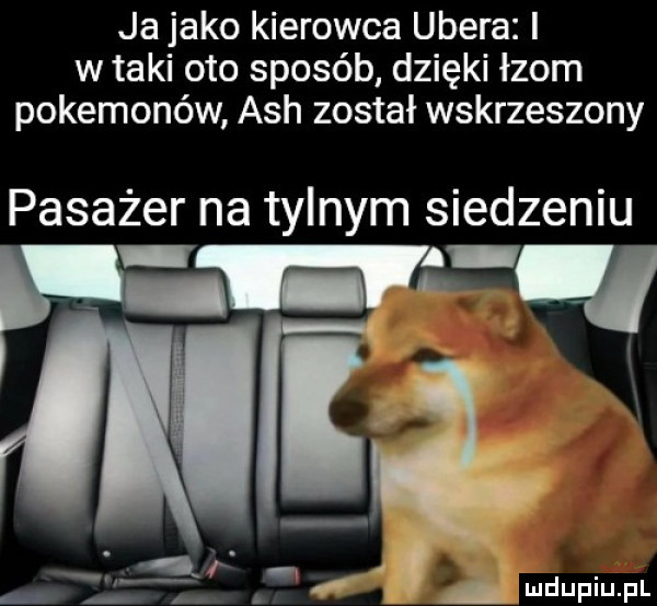 ja jako kierowca umera i w taki oto sposób dzięki łzom pokemonów ach został wskrzeszony pasażer na tylnym siedzeniu fr fau