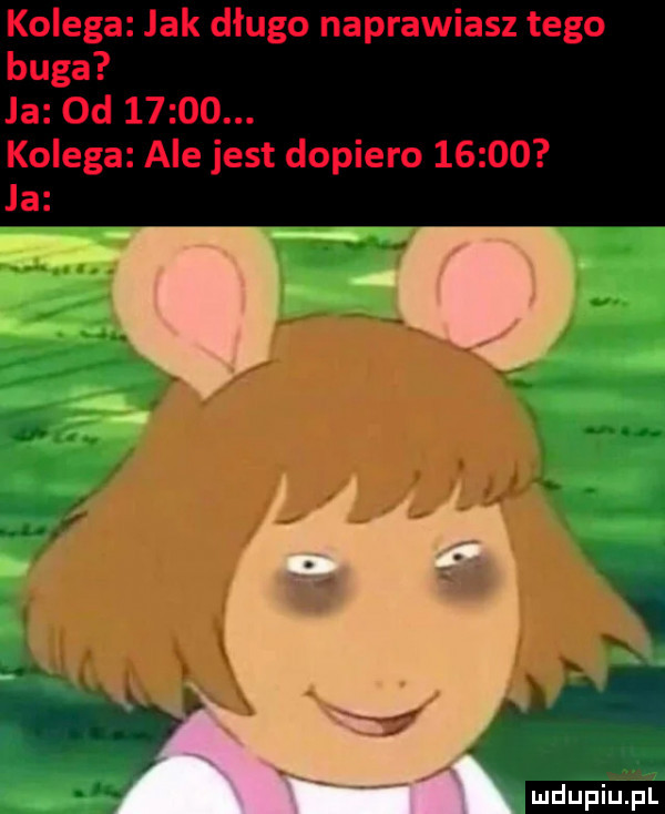 i u lipiu pl
