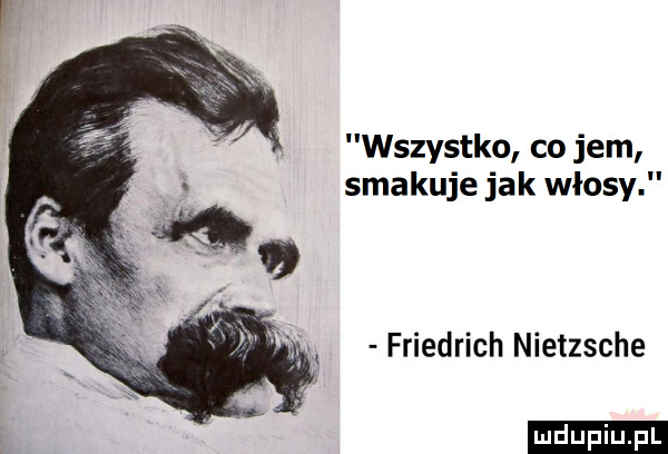 wszystko co jem smakuje jak włosy friedrich nietzsche ludu iu. l