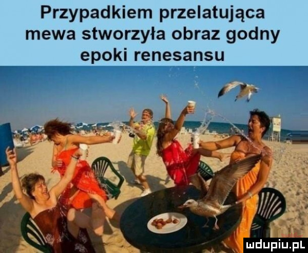 przypadkiem przelatujące mewa stworzyła obraz godny epoki renesansu mdupiulpl