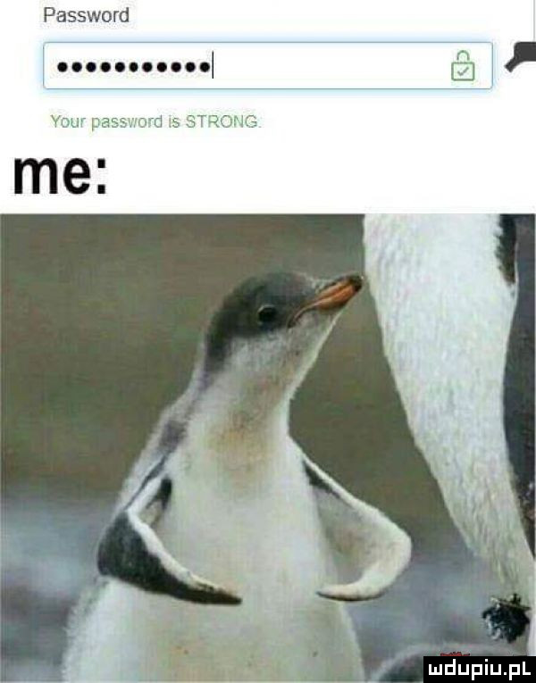 password