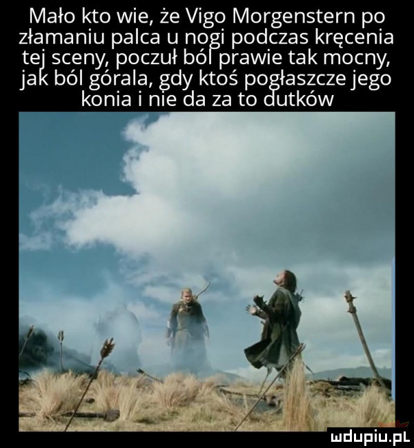 mało kto wie że vigo morgenstern po złamaniu palca u nogi podczas kręcenia te sceny poczuł bó prawie tak mocny ja ból górala gdy ktoś po łaszczejego konia i nie da za to ubków