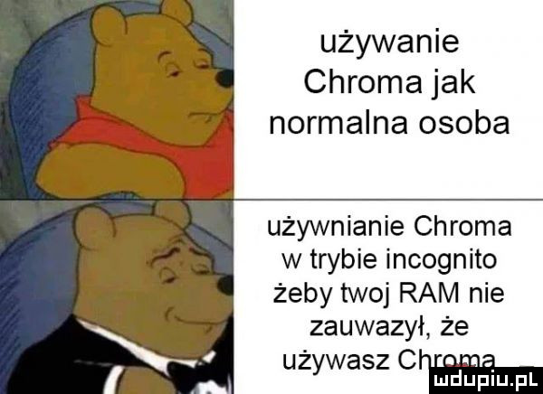 używanie chroma jak normalna osoba użyźnianie chroma w trybie incognito żeby twoj ram nie zauważył że uż waszc. y