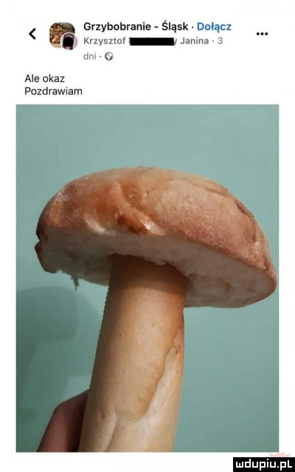krzysztof janina   dni   n grzybobrani śląsk dołącz ale okaz pozdrawiam