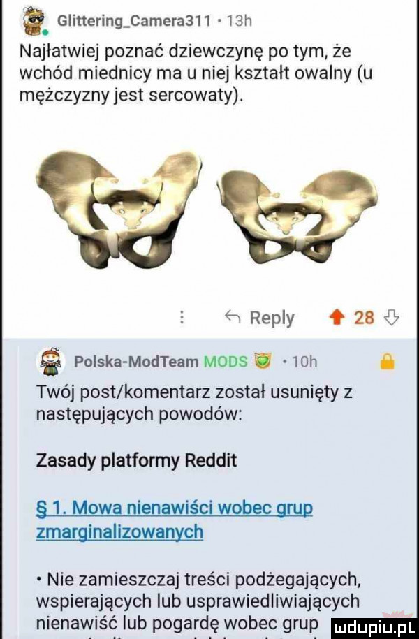 glinering cameraa     h. najłatwiej poznać dziewczynę pitym że wchód miednicy ma u niej kształt owalny u mężczyzny jest sercowaty. repry    polska modteam mods   h i twój post komentarz został usunięty z następujących powodów zasady platformy reddit  . mowa niengwlści wam gap zmarginalizowanych nie zamieszczaj treści podżegających wspierających lub usprawiedliwiających nienawiść ub pogardę wobec grup