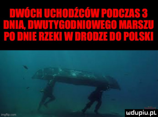 iiwóibii iigiiiiiiżgów piiiigzas   llllll. bwiityeiiiiiioweeii mas i ll iiiiie iiieki w iiiiiiiiie iii niski
