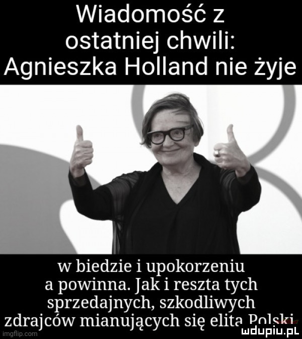 wiadomość z ostatniej chwili agnieszka holland nie żyje w biedzie i upokorzeniu a powinna. jaki reszta tych sprzedajnych szkodliwych zdrajców mianujących się elitaugsgfuifgl
