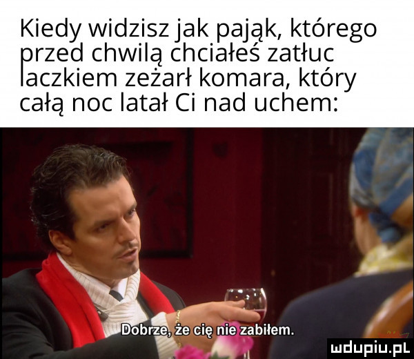 kiedy widziszjak pająk którego przed chwilą chciałeś zatłuc cekiem zeżarł komara który całą noc latał ci nad uchem   i dobrze że cię rwie zabilem. abakankami a