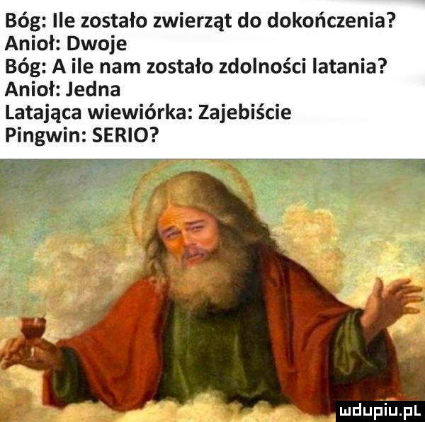 bóg ile zostało zwierząt do dokończenia anioł dwoje bóg a ile nam zostalo zdolności latania anioł jedna latająca wiewiórka zajebiście pingwin serio