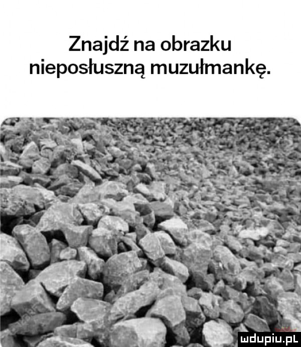 znajdź na obrazku nieposłuszną muzułmankę