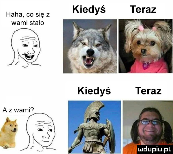 kiedyś teraz haba co się z wami stało