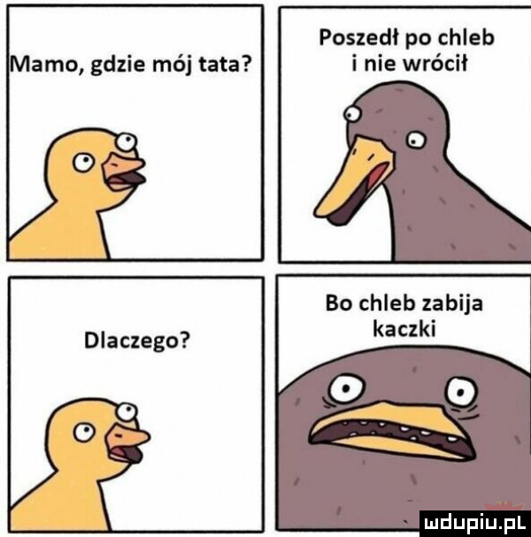 poszedł po chleb i nie wrócił mamo gdzie mój tata bo chleb zabija kaczki dlaczego