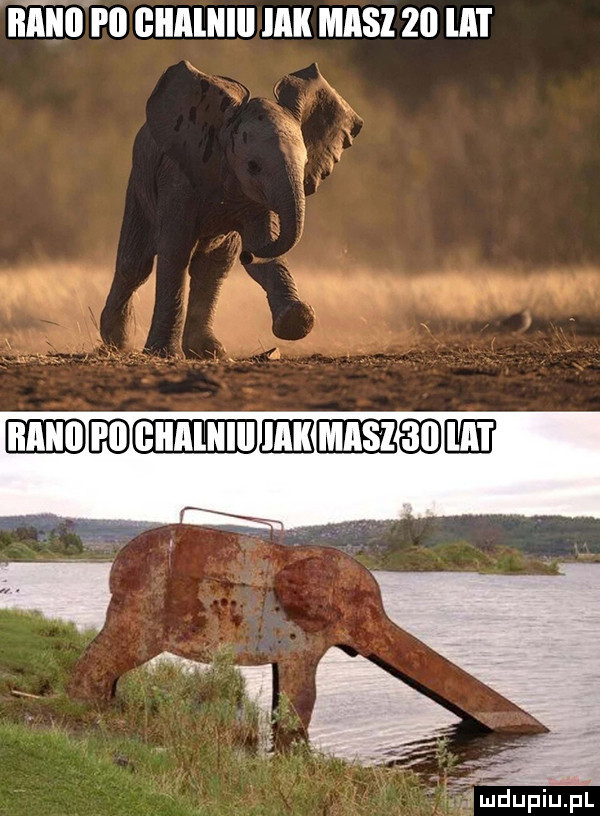 nine p  cluumu um masz zu un medgeeeujeeuieeqduee