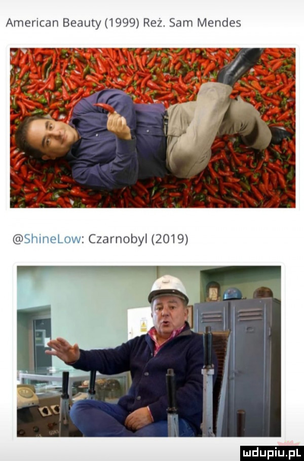 american blauty      rez sam mendes czarnożył