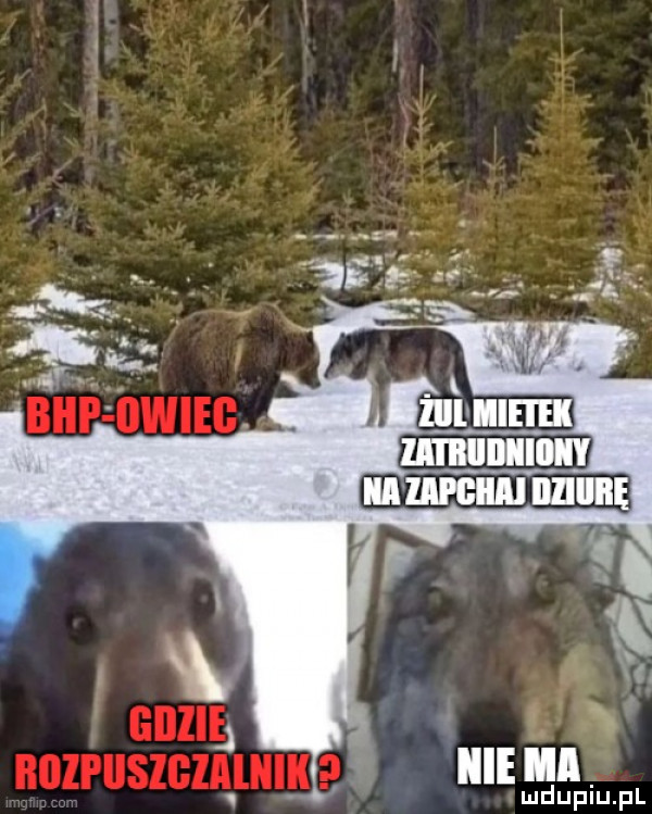 lu duciu pl
