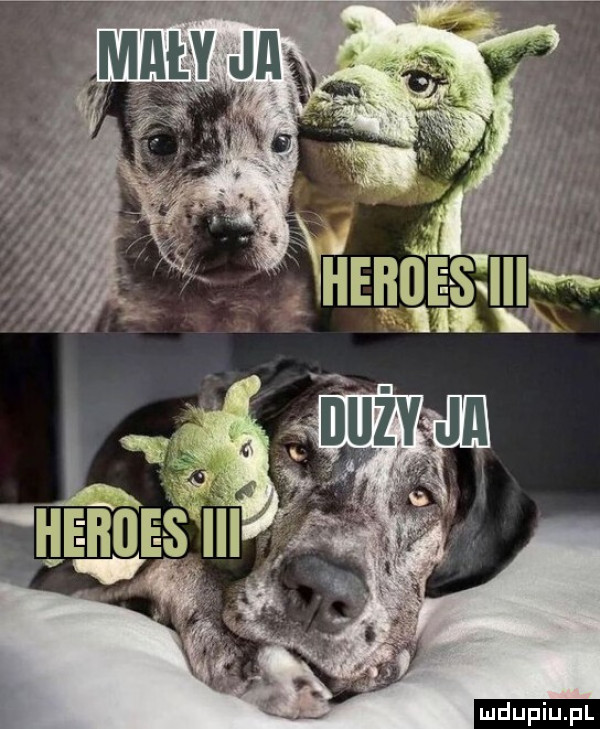 Obrazek