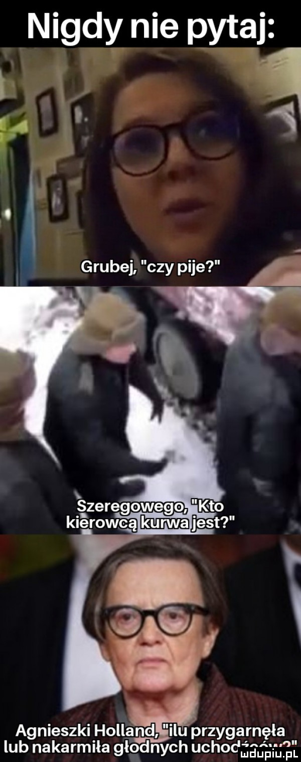 agnieszki holland ilu przygarnęła lub nakarmila głodnych uchoc śeęi u ę