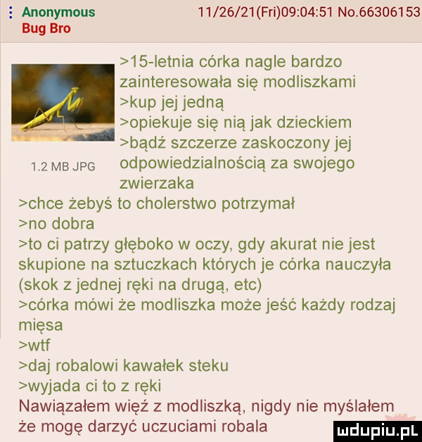 anonymous          fai          n            bug bio    ietnia córka nagle bardzo zainteresowala się modliszkami kup jej jedna opiekuje się niąjak dzieckiem bądź szczerze zaskoczony jej     mb ij odpowiedzialnością za swojego zwierzaka chce żebys to cholerstwo potrzymal no dobra to ci patrzy głęboko w oczy gdy akurat nie jest skupione na sztuczkach których je córka nauczyla skok z jednej ręki na drugą ebc córka mówi że modliszka może jeść każdy rodzaj mięsa wtf daj robalowi kawalek steku wyjada ci to z ręki nawiązałem więź z modliszka nigdy nie myślałem że mogę darzyć uczuciami robala