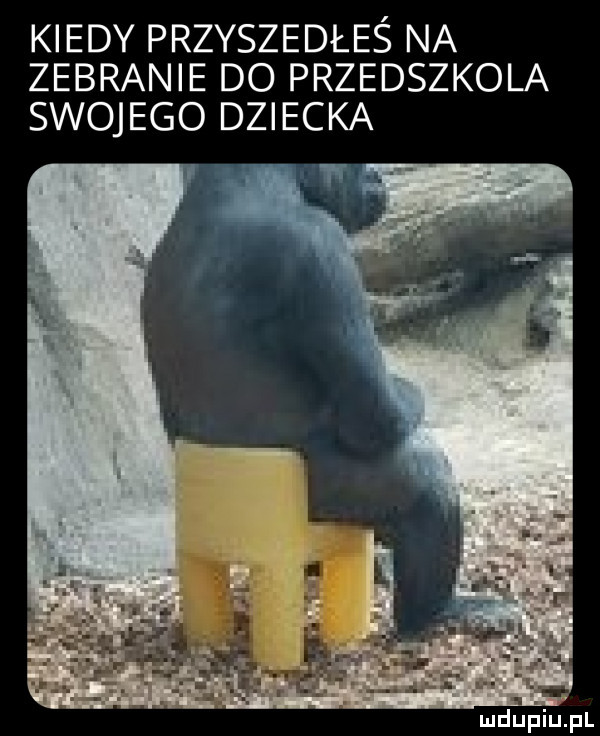 kiedy przyszedłeś na zebranie do przedszkola swojego dziecka if mdpiutpl