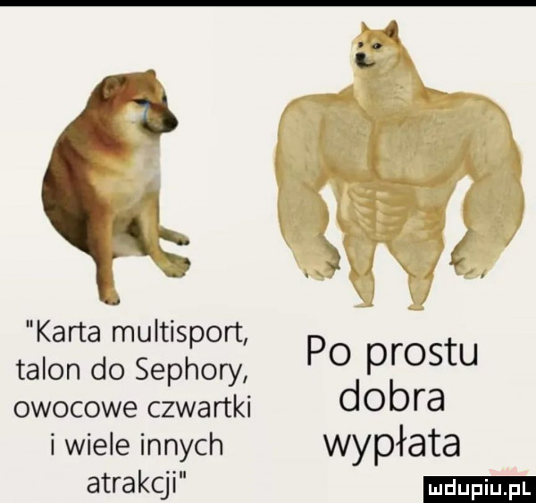 karta multisport talon do sephory po prestu owocowe czwartki dobra i wiele innych wypłata atrakcji