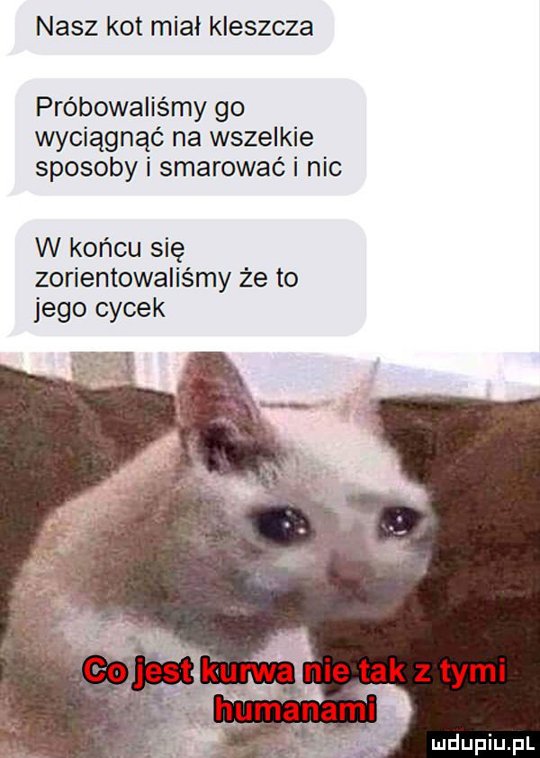 nasz kot miał kleszcza próbowaliśmy go wyciągnąć na wszelkie sposoby i smarować i nie w końcu się zorientowaliśmy że to jego cycek e sł urwalnietak z tymi um na