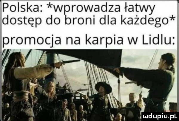 v polska wprowadza łatwy dostęp do broni dla każdego promocja na karpia w lidlu. mdupiupl