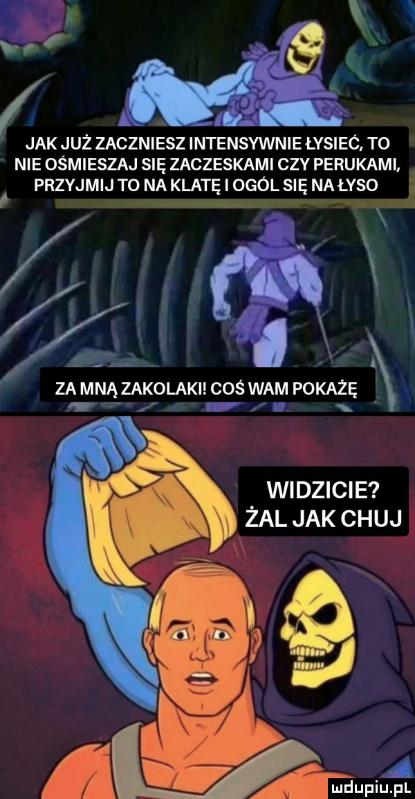 jak już zaczniesz intensywnie łysieó. to nie ośmieszaj się zaczeskami czy perukami przyjmij to na klatę i ogól się na lyso. i za mną zakolami coś wam pokażę   i widzicie żal jak chuj  . ę t   mduplu pl