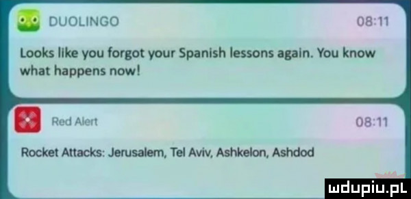 duoungo       looks irla y-u furgot your spanish lessons pln. y-u know wiat happens now rochet anacks jemsalem tel aviv aszkelon ashdod