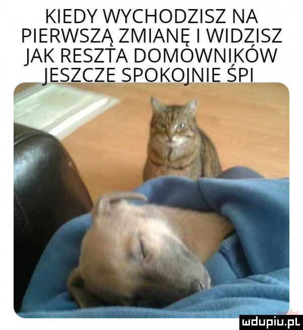 kiedy wychodzisz na pierwszą zmianę i widzisz jak reszta domowników jeszcze spoko nie śpi