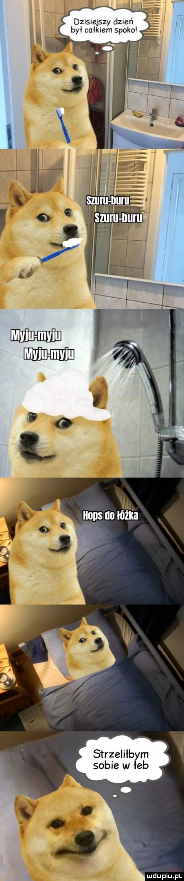 dzisiejszy dzień był całkiem spoko
