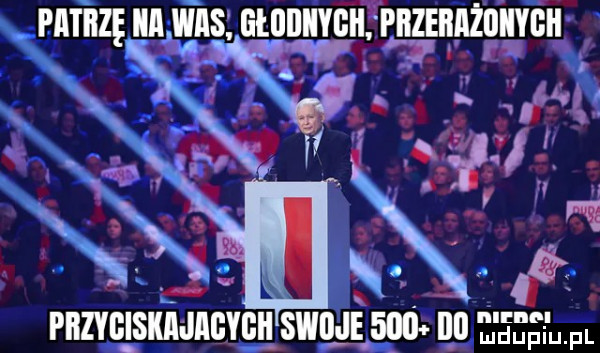 pbzybisiuijigygii swoje     ibl ę egei uml