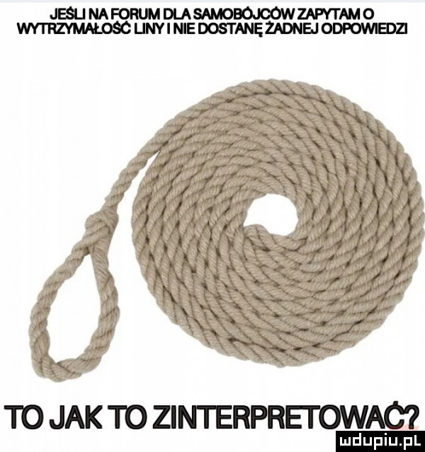 jejnammmwzahtmo ijnyimedostaiężawejodpowi tojaktozinterprei owoc