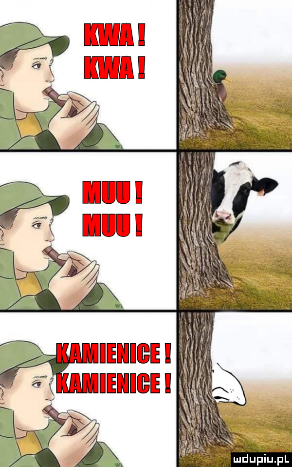 l ł