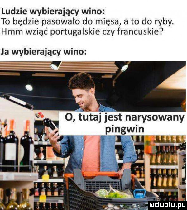 ludzie wybierający wino to będzie pasowało do mięsa a to do ryby. hmm wziąć portugalskie czy francuskie ja wybierający wino mi o tutaj jest narysowany pingwin   maupiupl