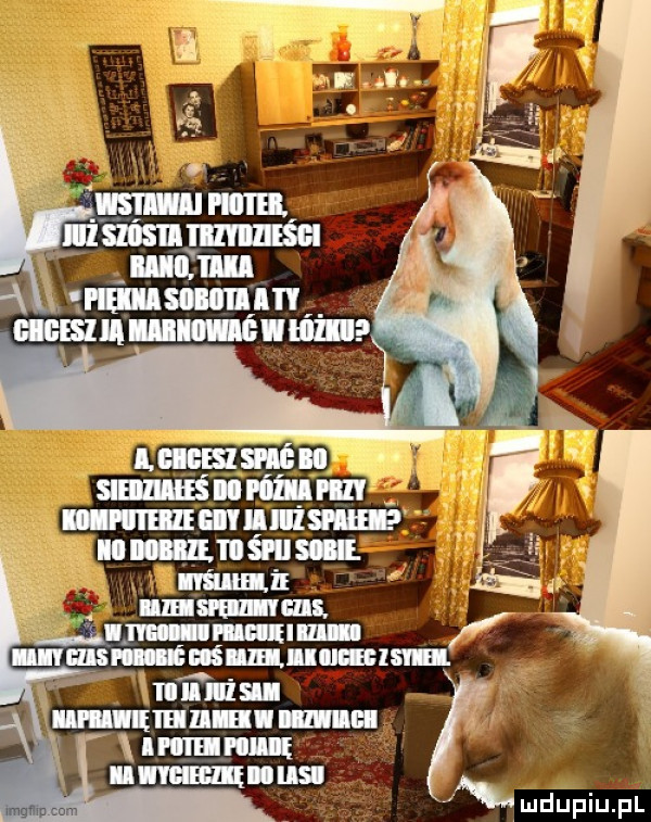 p hśfhiiiibisiii