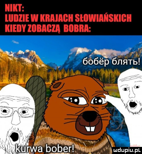 ir. bv f nw x at k qgwa boberl kﬁwf tmdupiupl