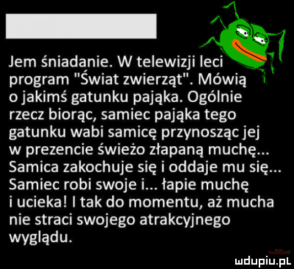 a jem śniadanie. w telewizji leci program swiat zwierząt. mówią i o jakimś gatunku pająka. ogólnie rzecz biorąc samiec pająka tego gatunku wabi samicę przynoszącjej w prezencie świeżo złapana muchę. samica zakochuje się i oddaje mu się. samiec robi swoje i. łapie muchę i ucieka i tak do momentu aż mucha nie straci swojego atrakcyjnego wyglądu