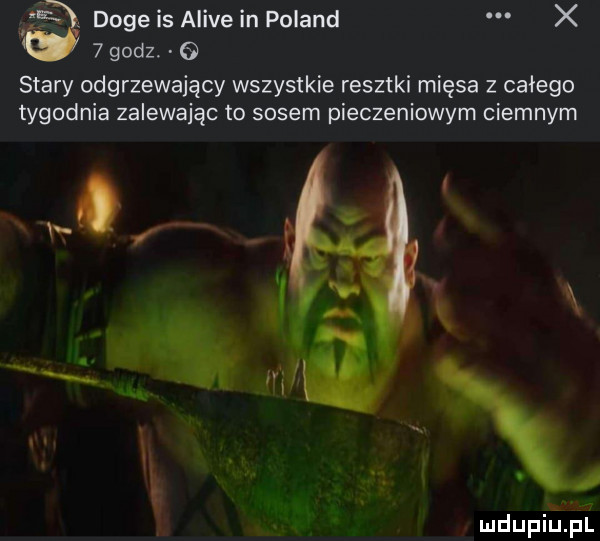 i  doje is alice in poland x   godz. stary odgrzewający wszystkie resztki mięsa z całego tygodnia zalewając to sosem pieczeniowym ciemnym mdupińpl