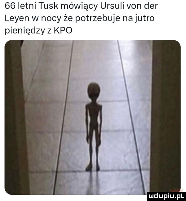 letni tusk mówiący ursuli van der leyen w nocy że potrzebuje na jutro pieniędzyz keo