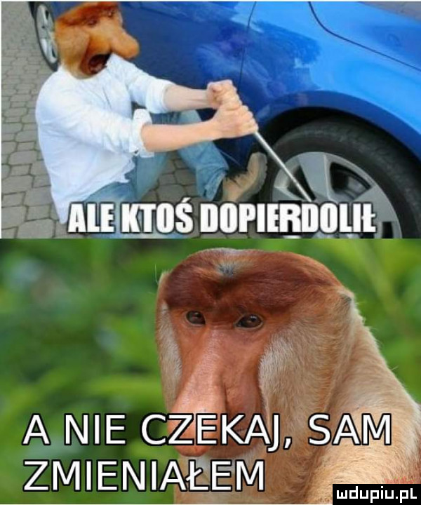 mi ms nin lmnull ł x a nie cz kanji saivi zmieniałem
