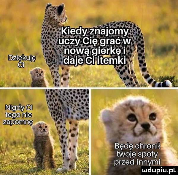 ci itemki max n tego nie będę chronił twoje spoty przed innymi