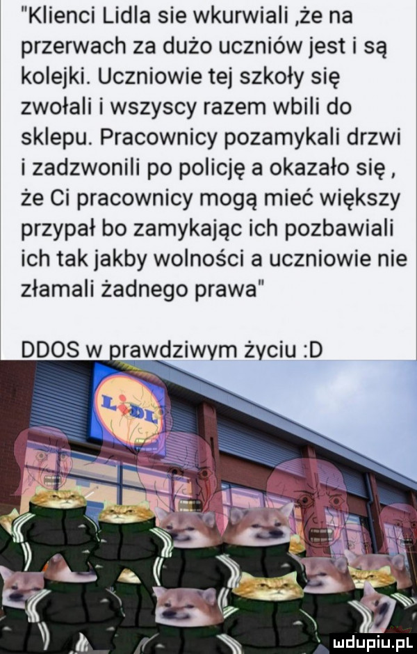 klienci lidla sie wkurwiali że na przerwach za dużo uczniów jest i są kolejki. uczniowie tej szkoły się zwołali i wszyscy razem wbili do sklepu. pracownicy pozamykali drzwi i zadzwonili po policję a okazało się że ci pracownicy mogą mieć większy przypał bo zamykając ich pozbawiali ich tak jakby wolności a uczniowie nie złamali żadnego prawa ddos w nrawdziwym życiu d