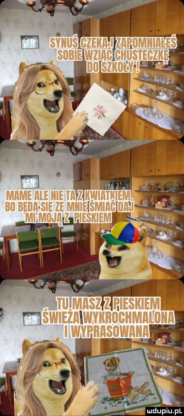 bo beda sie ze mniejśmiag daj i x mimujqz pieskiem   a mśwmżaawvaao camaanaa wvpaaanaaa
